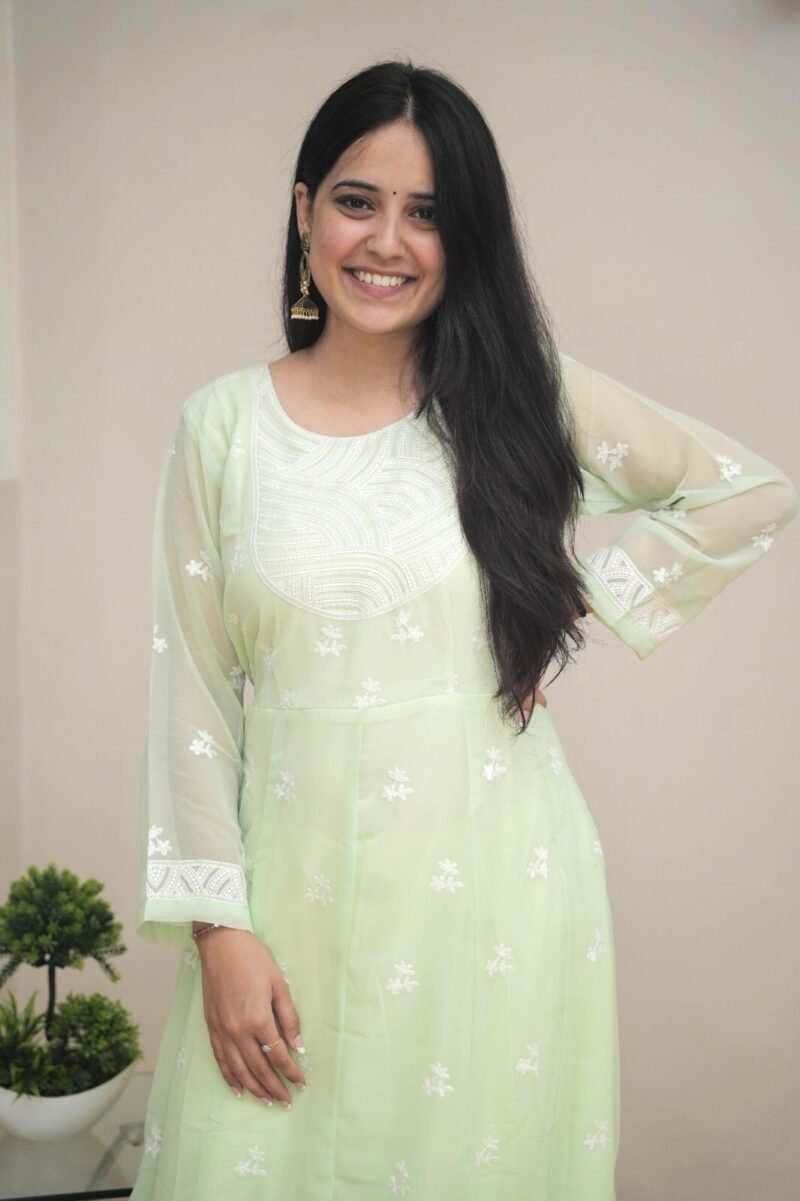 Chikankari inspired thread embroidery Gown